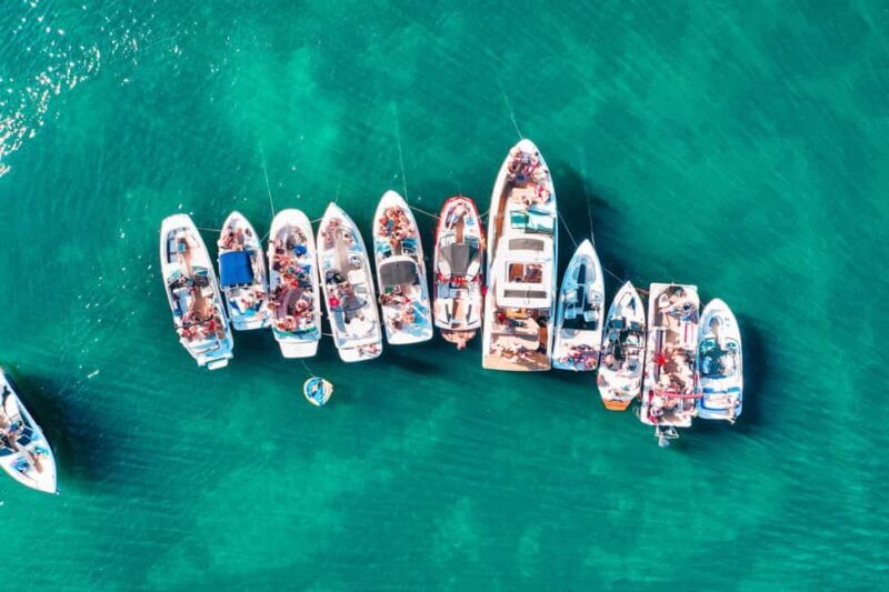 TURTLE BOAT TOUR - An In-Depth Look at the Turtle Boat Tour Experience