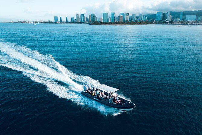 Turtle Canyon Snorkel: Semi Private Boat Tour - The Details of the Experience