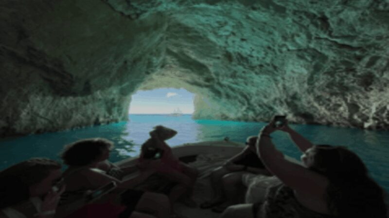 Turtle Cruise from 9 am or 12 noon or 3 pm for 3 hours - Key Points