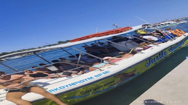 Turtle Cruise from 9 am or 12 noon or 3 pm for 3 hours - A Deep Dive into the Turtle Cruise Experience