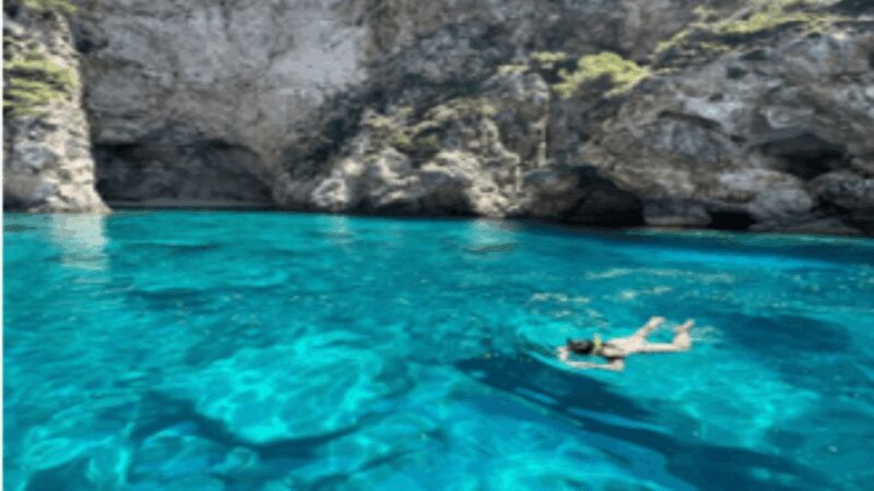 Turtle Cruise from 9 am or 12 noon or 3 pm for 3 hours - FAQ about the Turtle Cruise