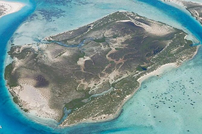 Turtle Eco Tour on Stand-Up Paddleboards or Kayaks into the National Marine Park - The Sum Up