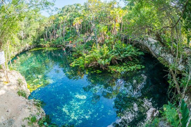 Turtle Encounter Private Tour Swim with Sea Turtles & Cenote - A Detailed Look at the Turtle Encounter Private Tour