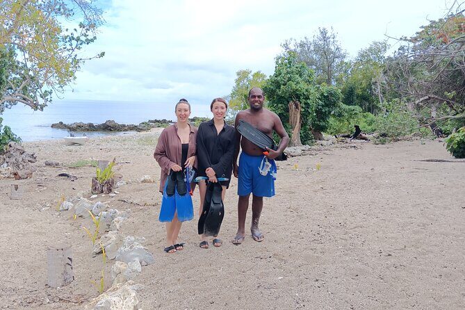 Turtle Encounter with Yumi Tours - What to Expect on Your Snorkeling Adventure