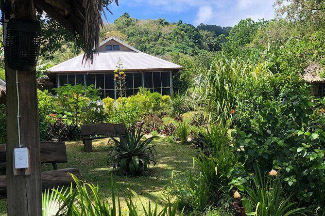 Turtle Encounter with Yumi Tours - Authentic Experiences and What Reviews Reveal