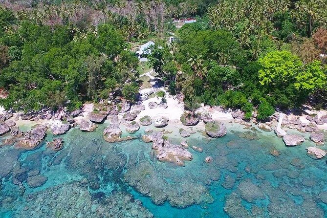 Turtle Encounter with Yumi Tours - The Sum Up