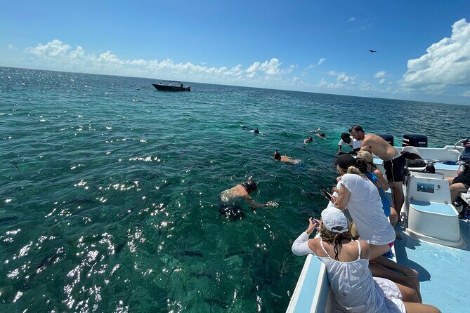 Turtle Garden Snorkeling Tour and Island Break - The Dive into the Experience: What to Expect from the Tour