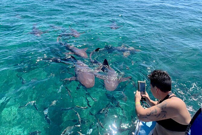 Turtle Garden Snorkeling Tour and Island Break - FAQ