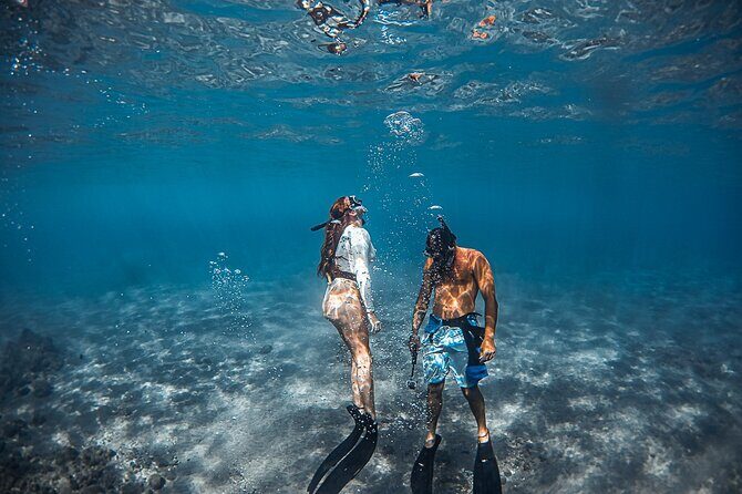 Turtle Gardens West Maui Snorkel Tour - FAQ