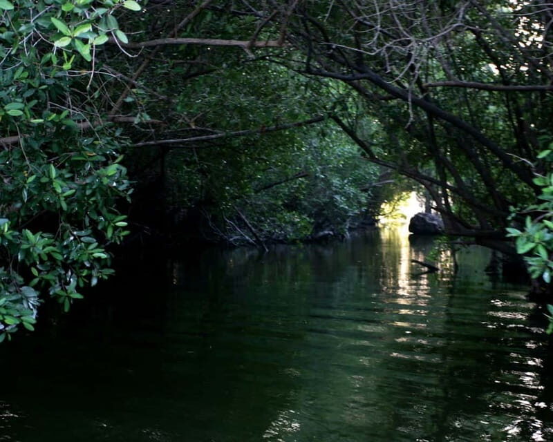 *Turtle Hatching + 3 Palos Lagoon Boat Ride & Crocs Farm - Key Points