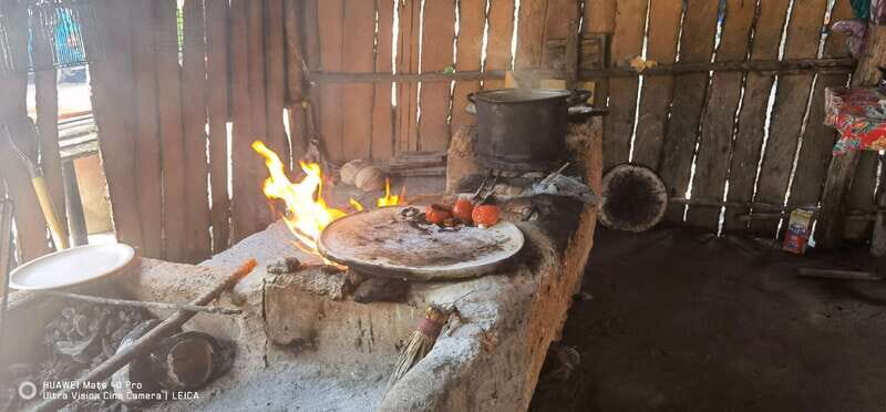 *Turtle Hatching + 3 Palos Lagoon Boat Ride & Crocs Farm - FAQ