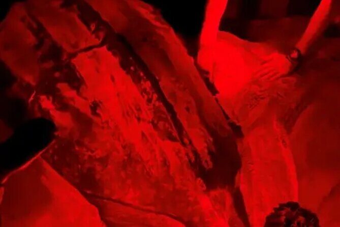 Turtle Nesting Tour Playa Grande CR - Key Points