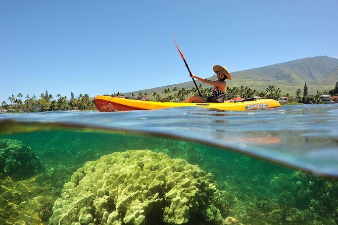 Turtle Reef Kayak Tour of Makena, Maui - The Sum Up: Is It Worth It?