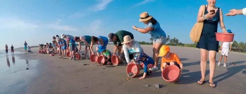 Turtle Release & Crocodile Watching in Ixtapa Zihuatanejo - FAQ