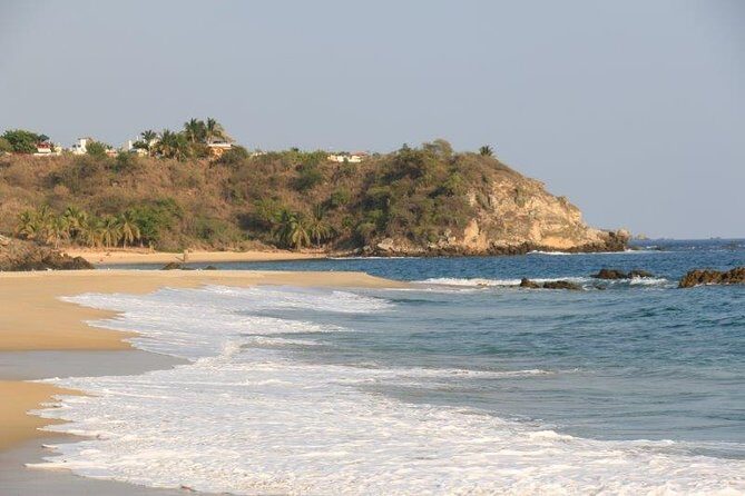 Turtle Release Escobilla Sanctuary and crocs in Ventanilla. - Practical Considerations and Who Should Book