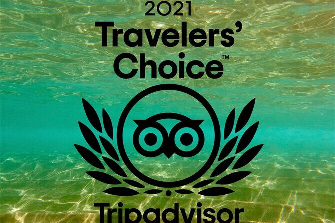 Turtle & Shark Scuba Dive in Lahaina: Certified - FAQ