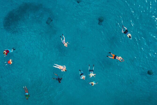 Turtle Snorkeling Boat Tour and Adventure in Waikiki - Who Should Consider This Tour?