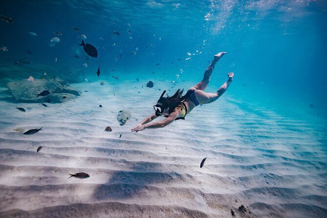 Turtle Spotting Snorkel Malmok And Tres Trapi - A Deep Dive into the Turtle Spotting Snorkel Experience