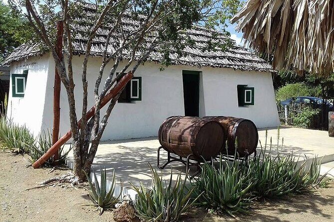 Turtle Swim, Shete Boka & Kenepa Beach Adventure in Curaçao - FAQ