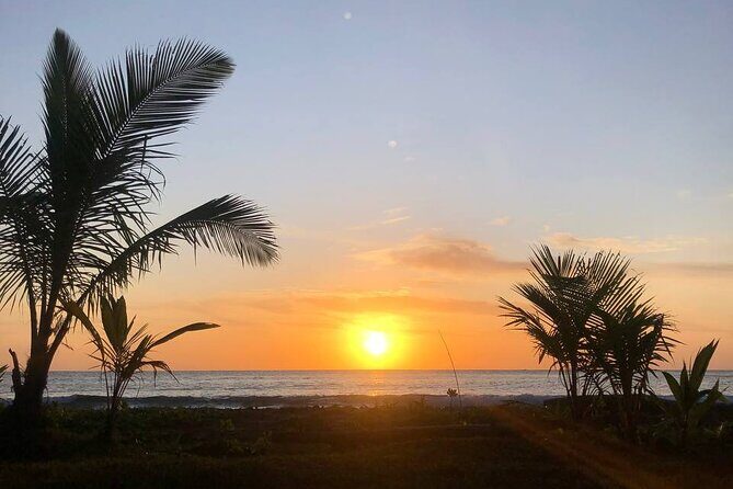 Turtle Tales of Pulau Banyak - Who Is This Tour Best Suited For?