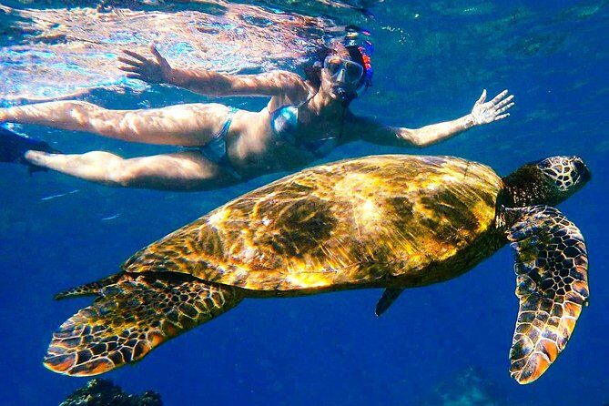 Turtle Town Clear Kayak & Snorkel Tour (10:30am-1pm) - Exploring Maui’s Turtle Town Clear Kayak & Snorkel Tour