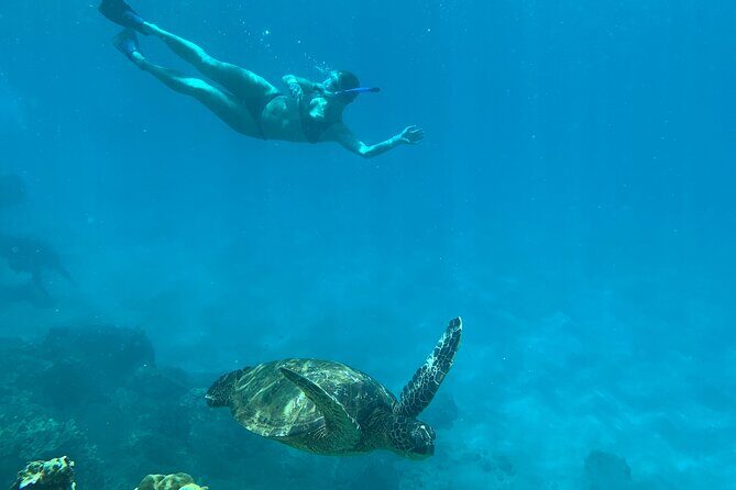 Turtle Town Snorkel with Photo and Video - A Detailed Look at the Itinerary