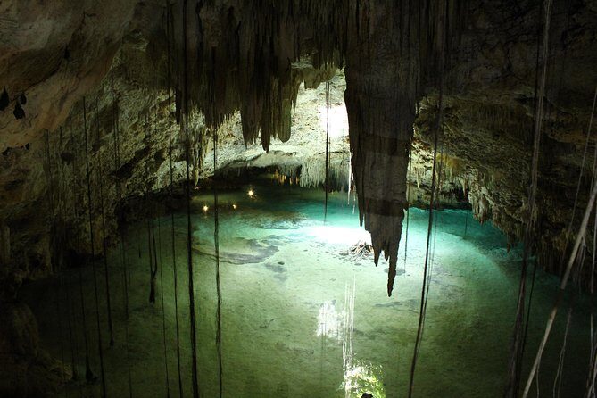 Turtles and Cenote snorkeling activity from Riviera Maya - Is This Tour Worth It?