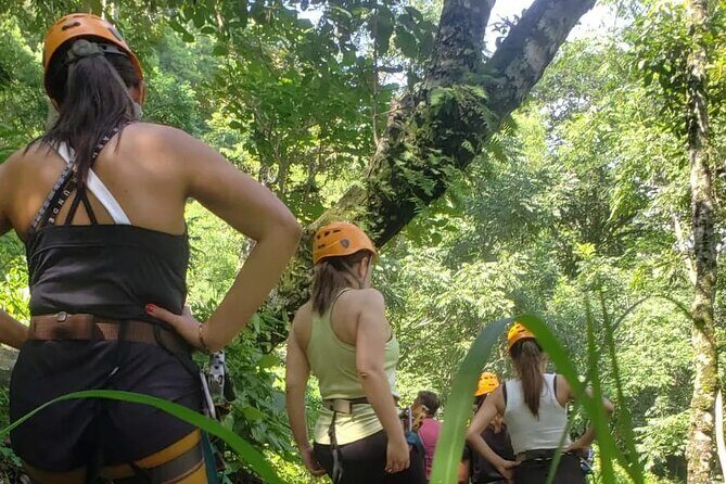 Turtles Release Adventure - Key Points