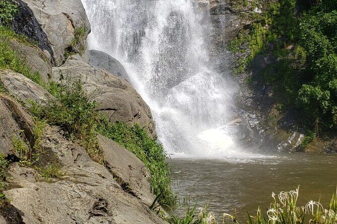 Turtles Release Adventure - An In-Depth Look at the Turtles Release Adventure