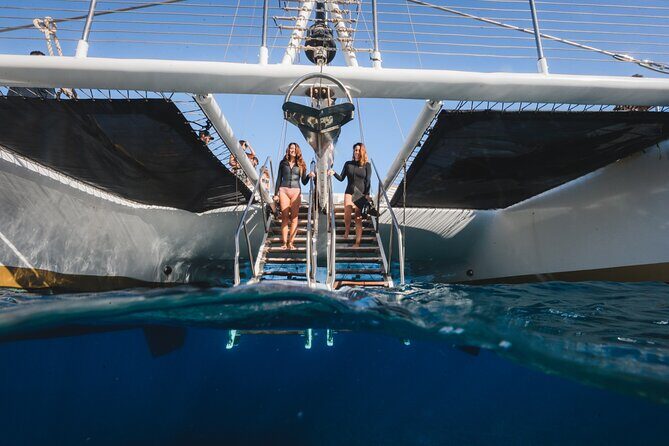 Turtles & Tacos Luxury Catamaran Snorkel - Practical Tips for Your Trip