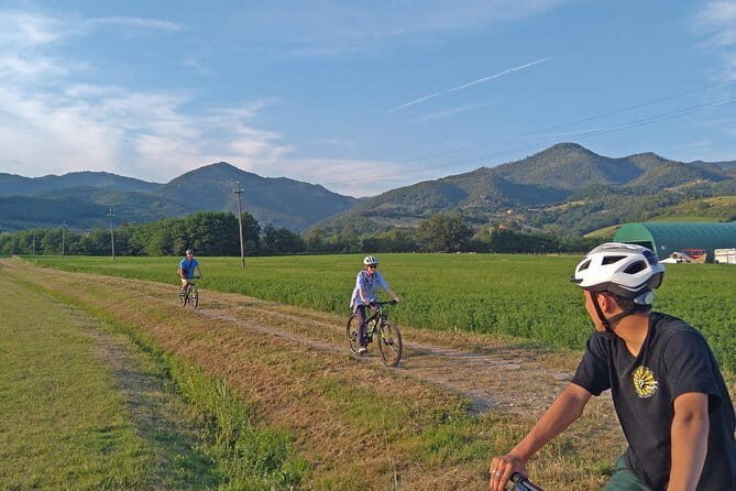 Tuscan countryside bike tour and food tasting - A Deeper Dive into the Tuscany Bike and Food Experience