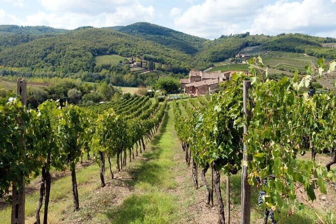Tuscan countryside bike tour and food tasting - Who Will Love This Tour?