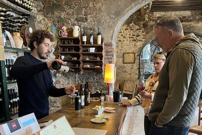Tuscan Wine Tour in Lucca by van - Key Points