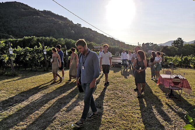 Tuscan Wine Tour in Lucca by van - Why This Tour Offers Real Value