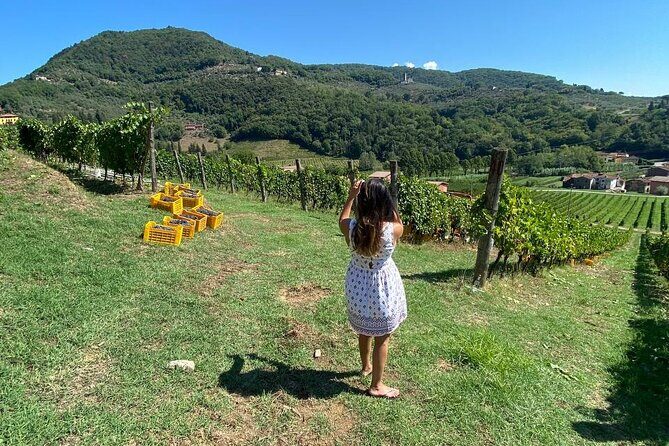 Tuscan Wine Tour in Lucca by van - Final Thoughts