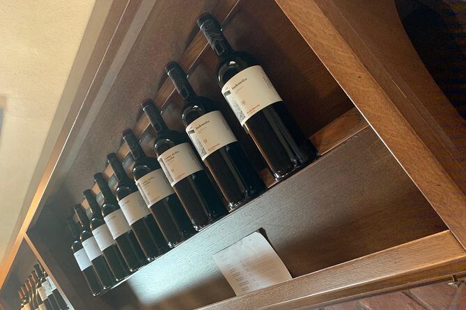 Tuscany and Wine Tasting Tour from Pisa - Final Thoughts