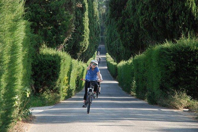 Tuscany Bike Tours Through the Chianti Hills with Wine Tasting - Getting to Know the Tour: An In-Depth Look