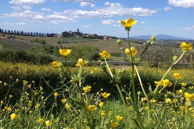 Tuscany Bike Tours Through the Chianti Hills with Wine Tasting - Frequently Asked Questions