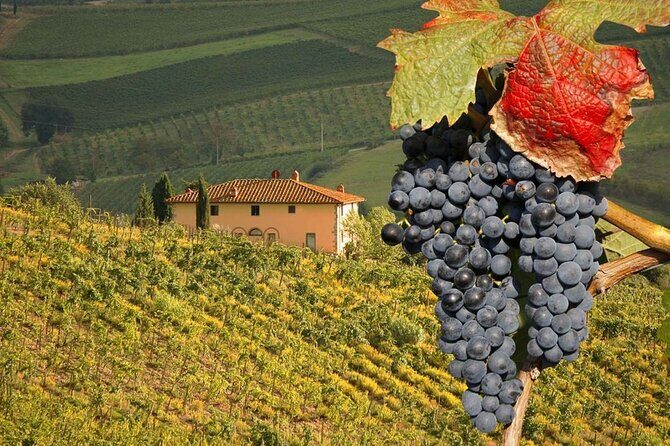 Tuscany Countryside- Pienza and Montepulciano Private Day Trip - Frequently Asked Questions