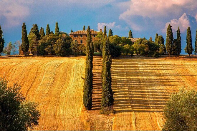 Tuscany from Rome , Montepulciano & Pienza with wine tasting and Lunch included - The Road to Tuscany: An Easy Escape from Rome