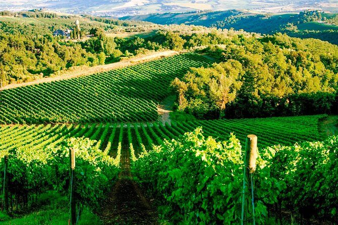 Tuscany from Rome , Montepulciano & Pienza with wine tasting and Lunch included - Frequently Asked Questions