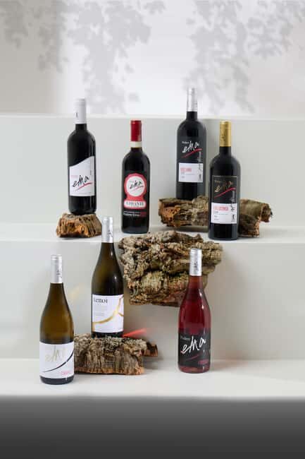 Tuscany: Immersive Winery + tasting (4 wines) - FAQ