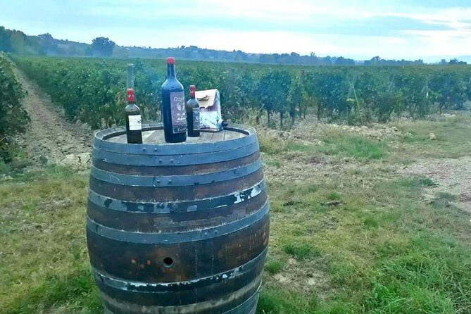 Tuscany Wine & Hills from Siena - Final Thoughts