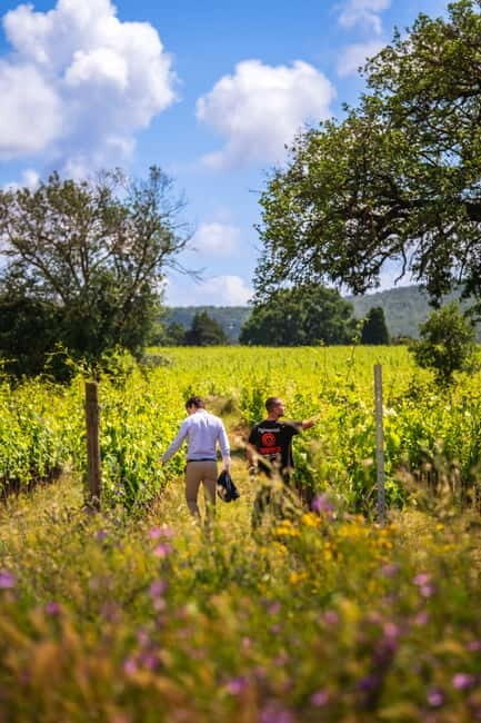 Tuscany: Wine Tasting Experience - An In-Depth Look at the Tuscany Wine Tasting Experience