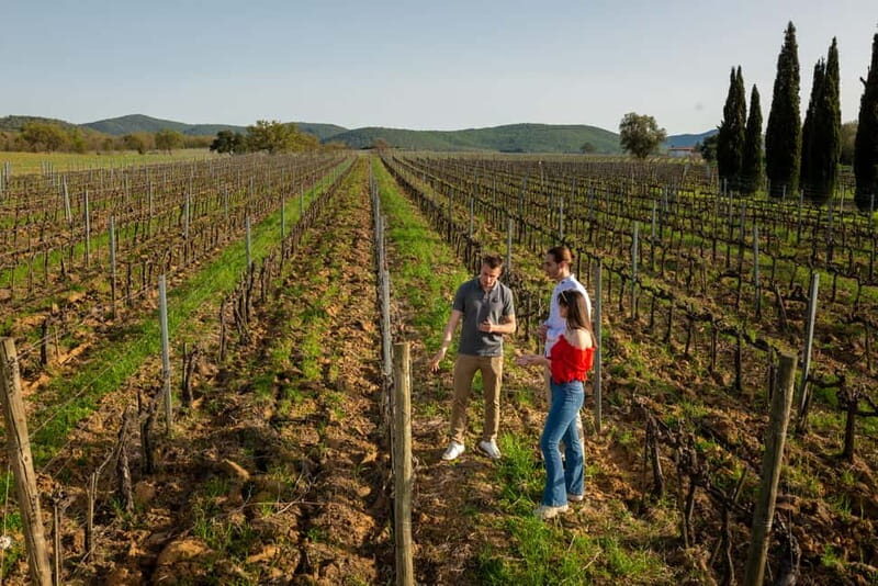 Tuscany: Wine Tasting Experience - Final Thoughts: Is It Worth It?