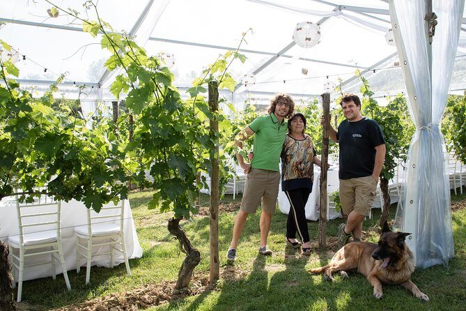 Tuscany Wine Tours in a family winery Podere Pellicciano - A Closer Look at Tuscany Wine Tours at Podere Pellicciano