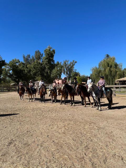 Tuscon: Rancho Cerros Horseback Riding Tout with Great Views - The Experience Beyond the Ride