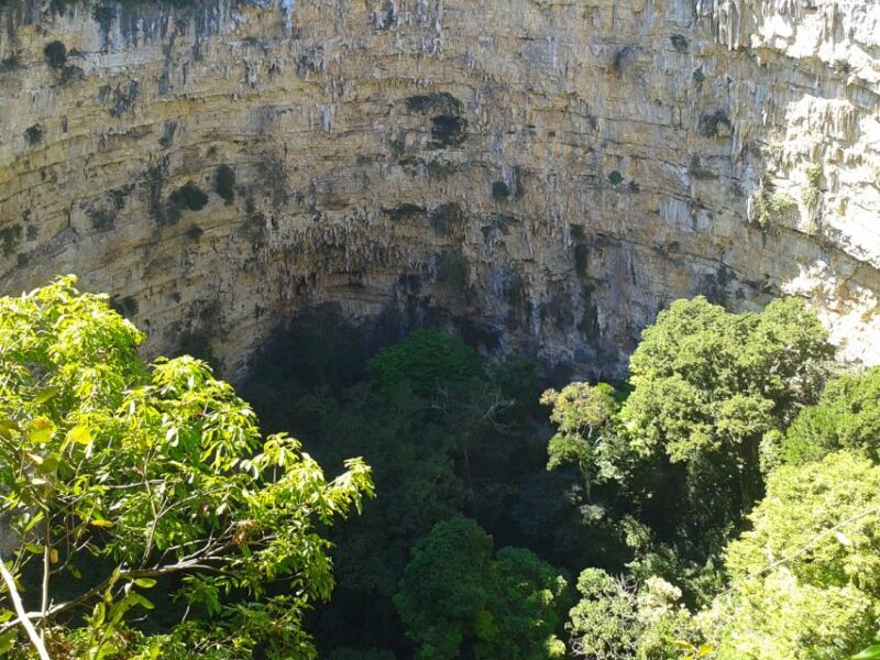 Tuxtla Gutiérrez: Sinkhole of Parrots Full-Day Rappel - Key Points