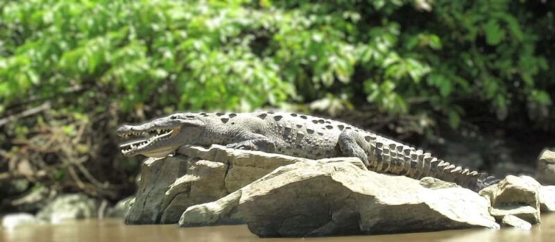Tuxtla Gutierrez: Sumidero Canyon River and Chiapa de Corzo - An In-Depth Look at the Tour Experience
