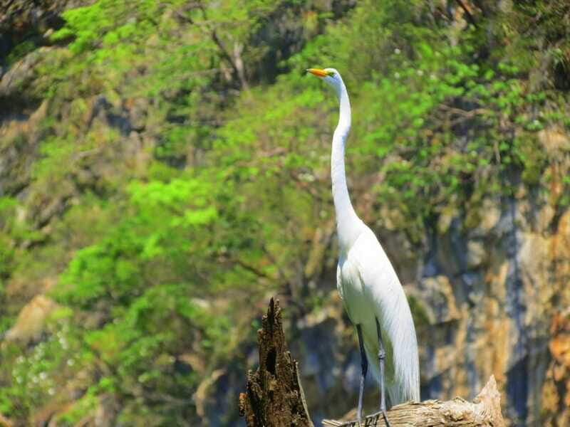 Tuxtla: Sumidero Canyon, San Juan Chamula & Zinacantán Tour - Who Should Consider This Tour?